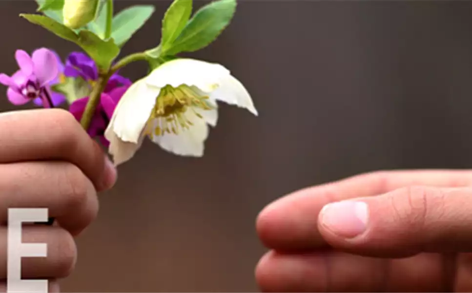 Party Service - bei Humpert grün erleben