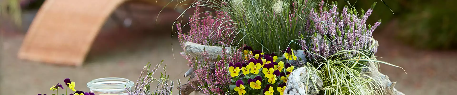 TERRASSENTRENDS IM HERBST