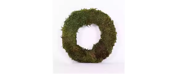 EIN KUNTERBUNTER HERBST! EIN KUNTERBUNTER HERBST!