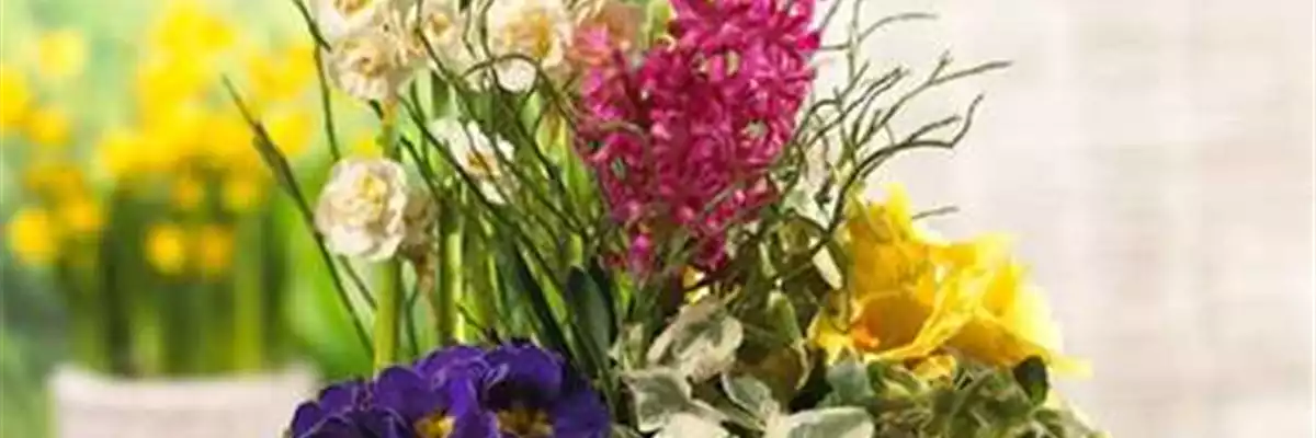 PFLANZIDEEN: FRüHLINGSBLüHER