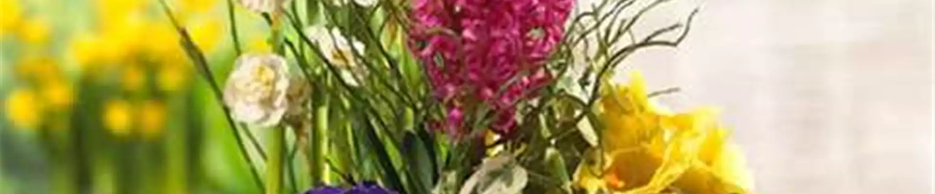 PFLANZIDEEN: FRüHLINGSBLüHER