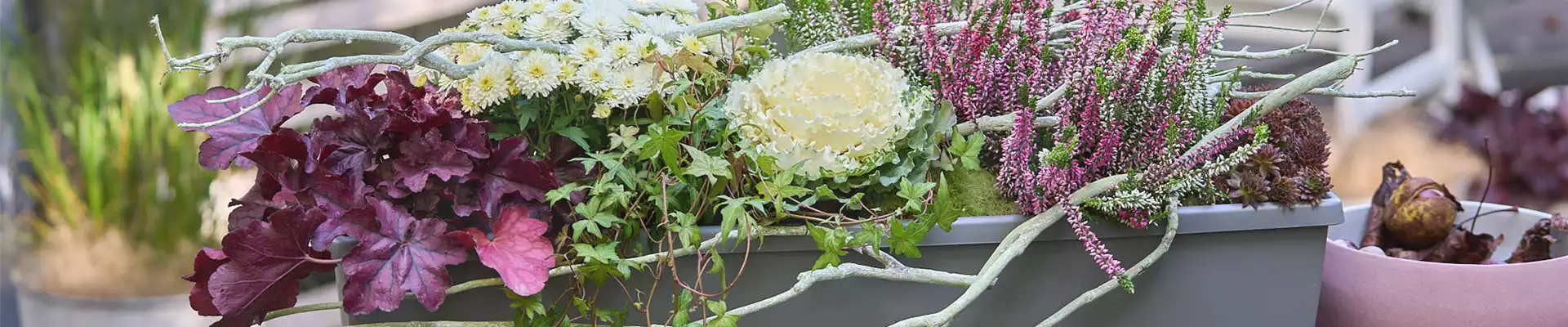 BUNT, BUNTER, HERBST!