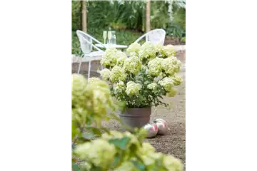 AUSZEIT IM GARTEN!