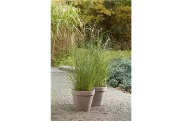 DER HERBST STEHT VOR DER TÜR! 