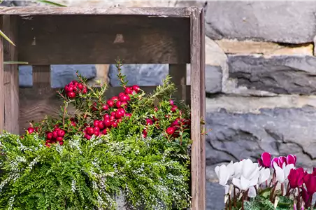 DIE FARBEN DES HERBSTES!