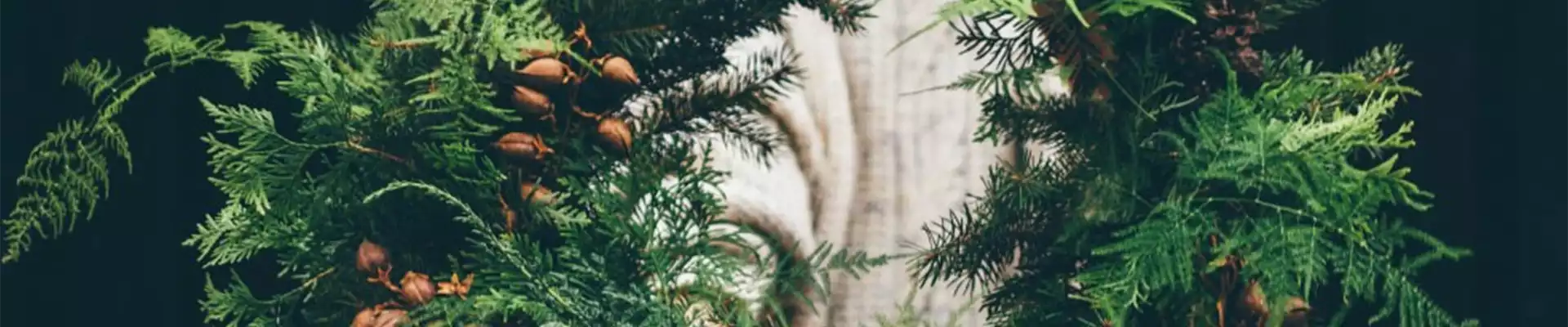 ADVENT, ADVENT – EIN KERZLEIN BRENNT!