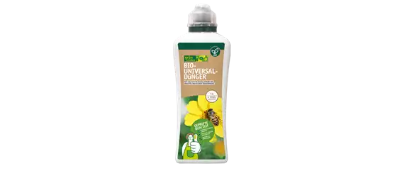 MEDITERRANE KüBELPFLANZEN! 