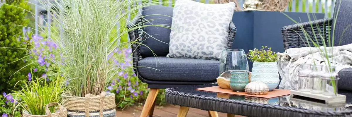 PFLEGELEICHTE SCHöNHEITEN FüR DIE DACHTERRASSE!
