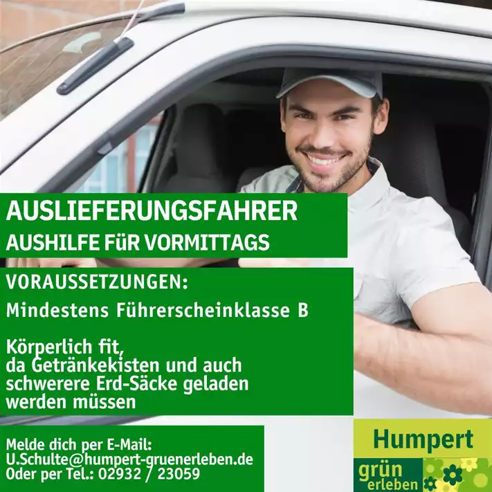 Auslieferungsfahrer.jpg