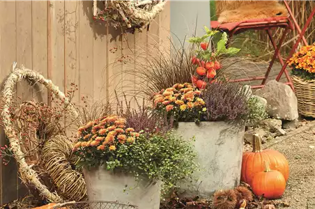 DEKORIEREN MIT STIL!