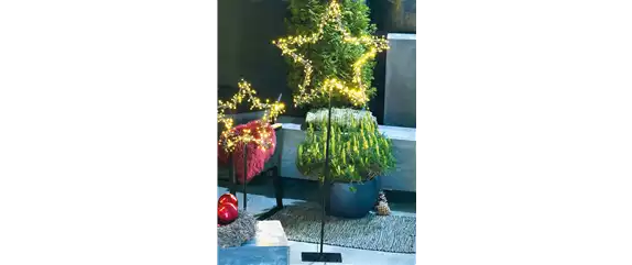 LICHTBLICKE IM WINTER-GARTEN!