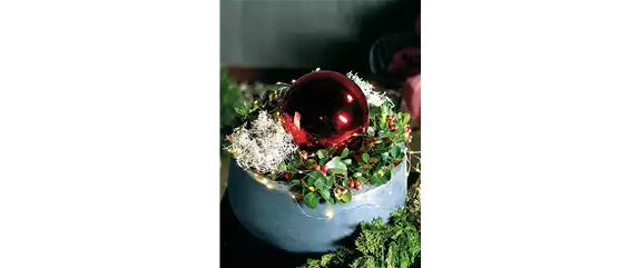 LICHTBLICKE IM WINTER-GARTEN!