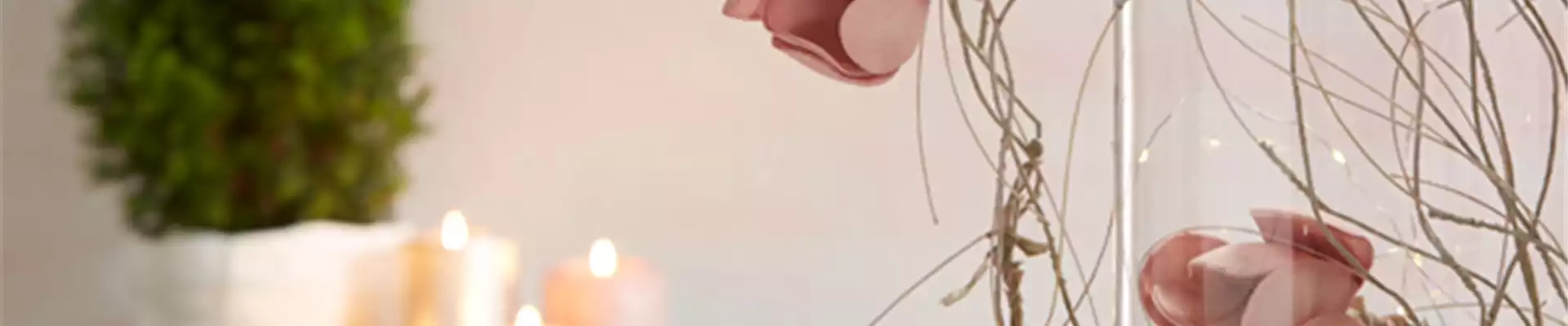 WIE GEHT... WINTERLICHER FEINSCHLIFF?