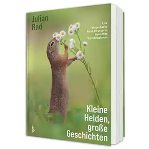 Buch des Monats: Oktober!