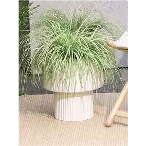 NATÜRLICH SCHÖN! GRÄSER FÜR EIN STILVOLLES GARTENAMBIENTE. 